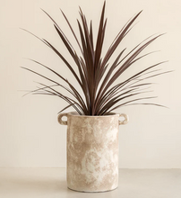 Load image into Gallery viewer, Ceramic planter with handles- natural