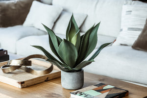 Large artificial aloe vera in clay pot