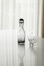 Load image into Gallery viewer, Grey houston decanter 10x27x30